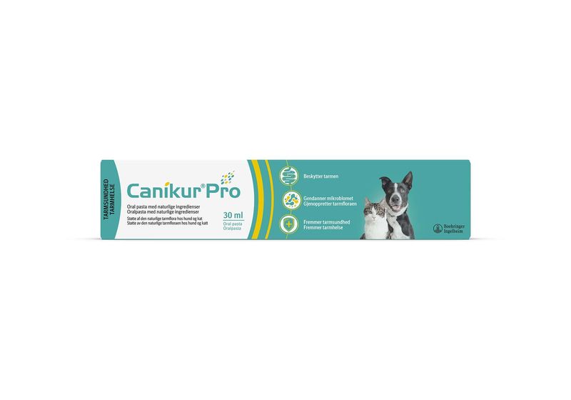 Canikur Pro 30ml, pasta, Canikur