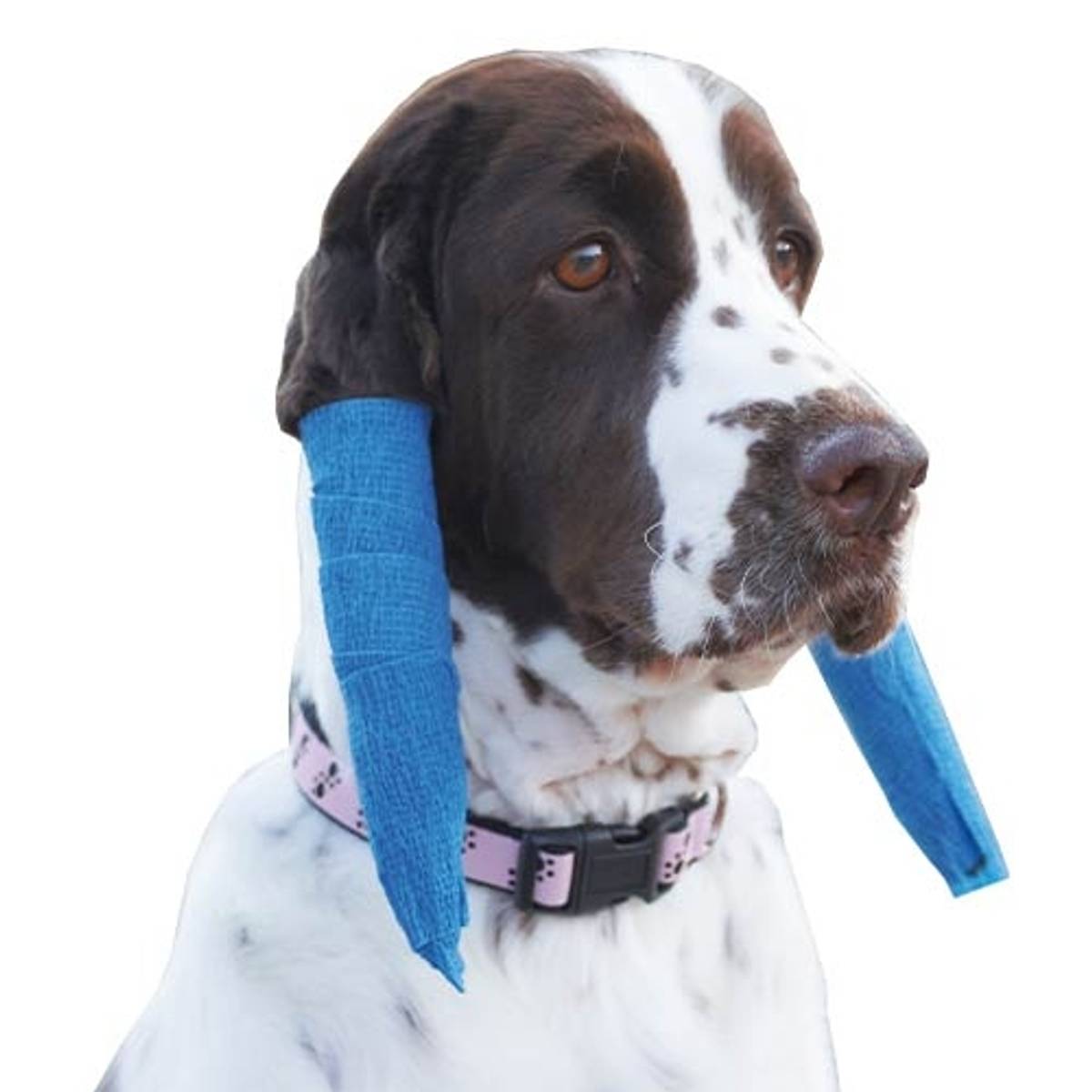 Cohesive Bandage, Ibanez