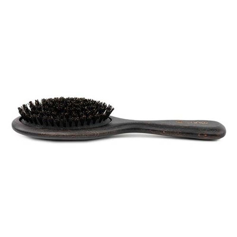 Bristles Brush, Ibanez